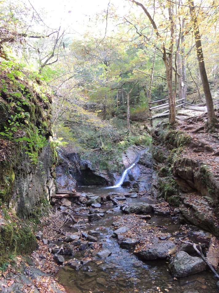 Vallon du Ninglinspo