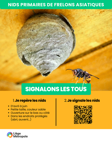 Illustration de l'actualité - cliquer pour agrandir