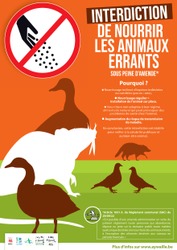 Interdiction de nourrir les animaux errants