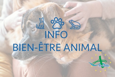 Illustration de l'actualité - cliquer pour agrandir