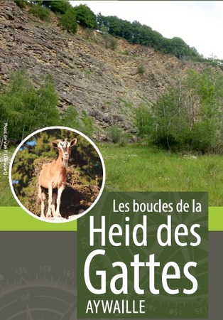 Illustration de l'actualité - cliquer pour agrandir