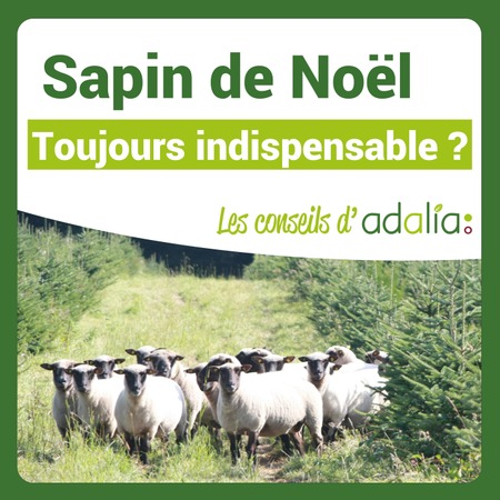 Illustration de l'actualité - cliquer pour agrandir