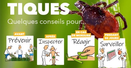 Illustration de l'actualité - cliquer pour agrandir