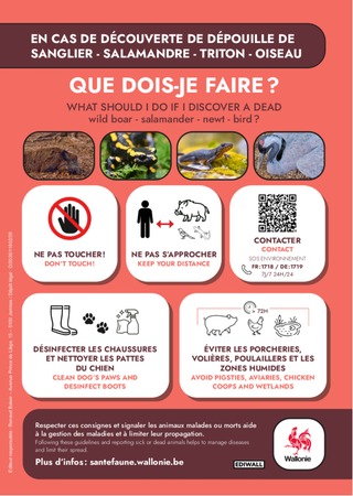 Illustration de l'actualité - cliquer pour agrandir