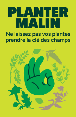Illustration de l'actualité - cliquer pour agrandir