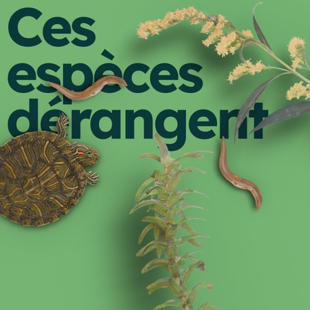 Illustration de l'actualité - cliquer pour agrandir