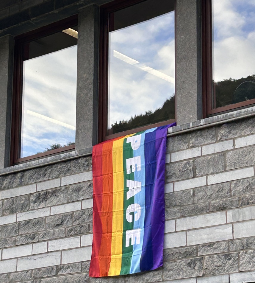2. Drapeau de la paix 2026