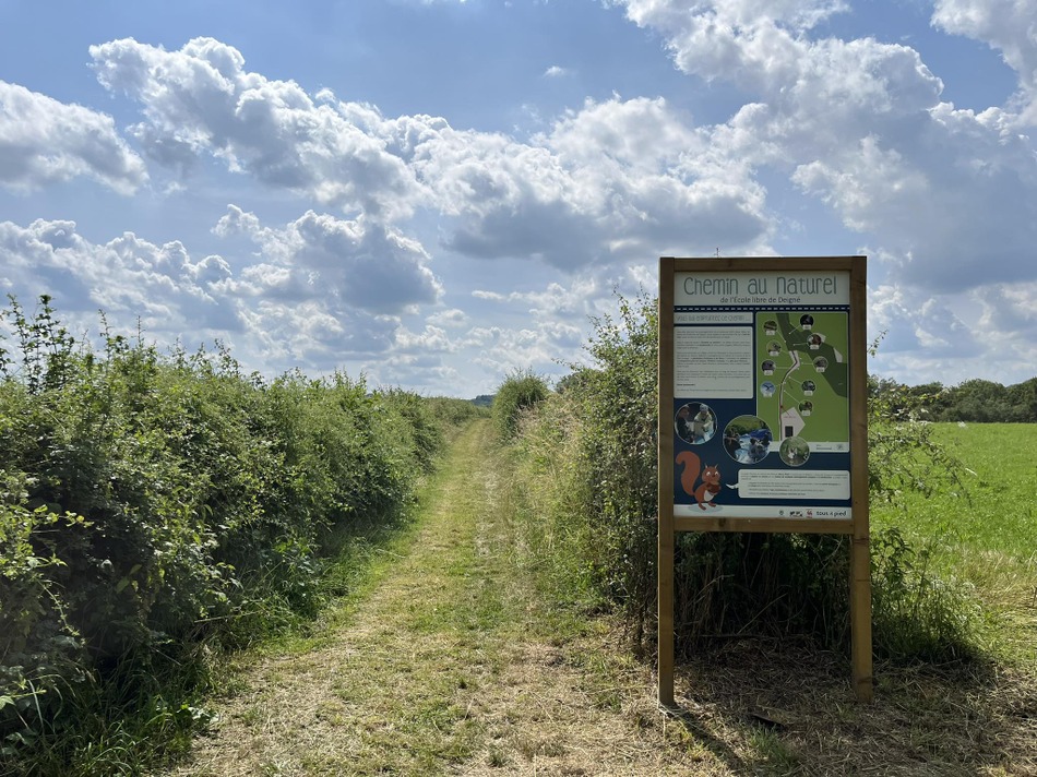 23 06 23 panneaux chemin au naturel entrée