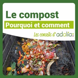 Adalia compost