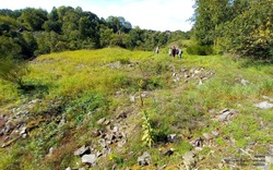 Aywaille pelouse xérique de Chambralles (CP Didier Fortemaison)