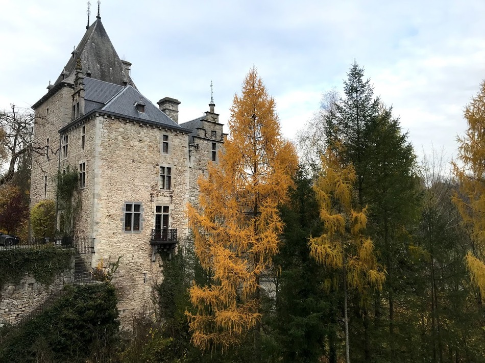 château de Montjardin1