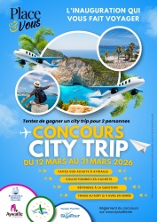 Concours City trip (21 x 29.7 cm)   Affiche Question