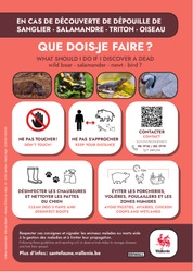 Dépouilles animaux Consignes