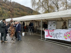 Distribution semaine de l'arbre 2023 (2)
