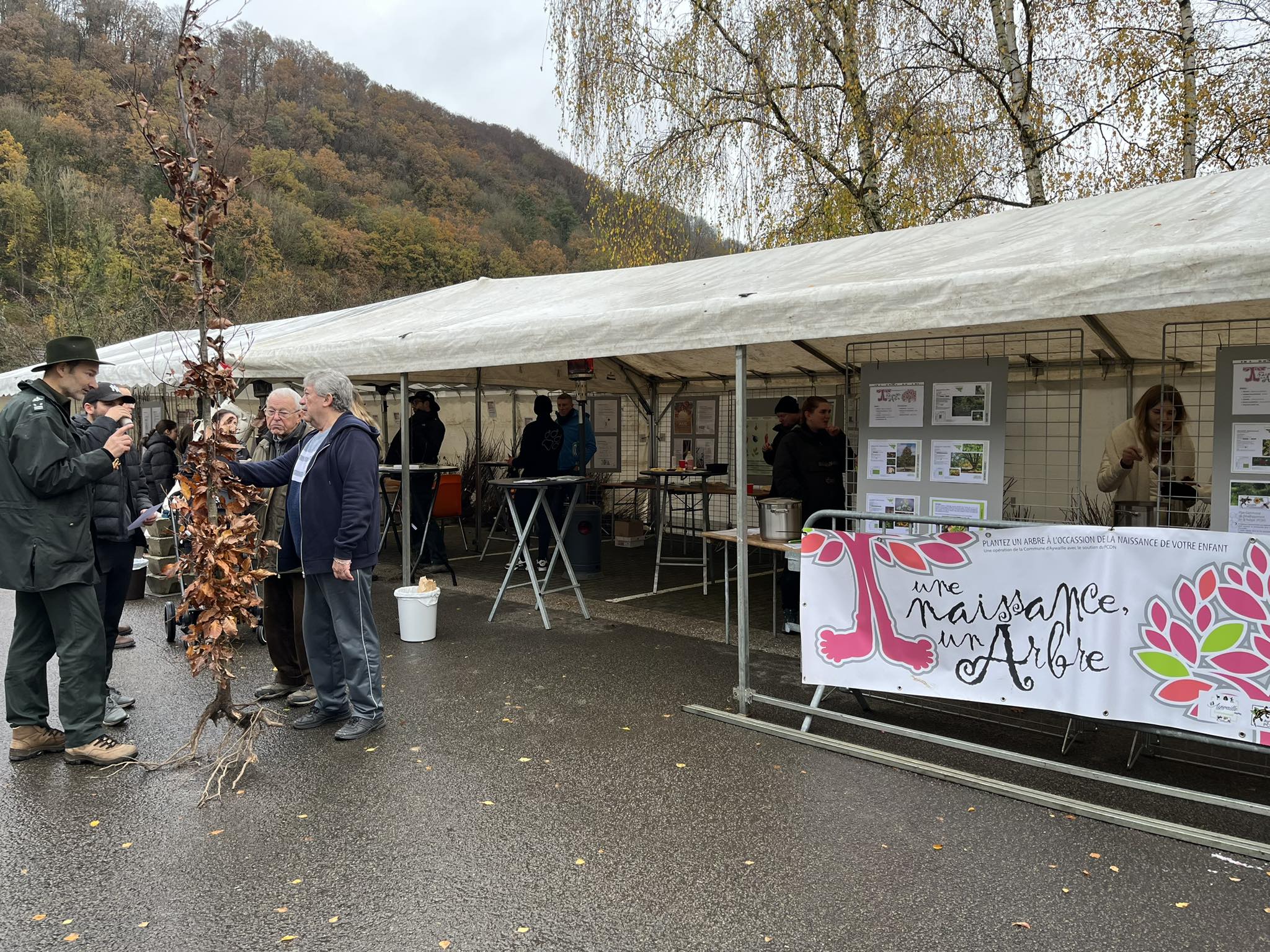 Distribution semaine de l'arbre 2023 (2)