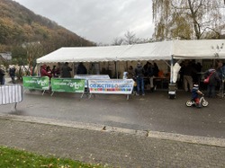 Distribution semaine de l'arbre 2023 (3)