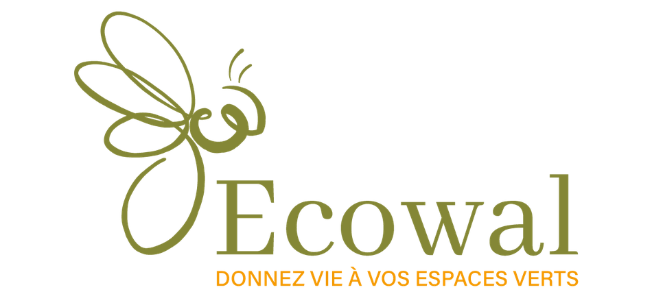 Ecowal   article cimetière