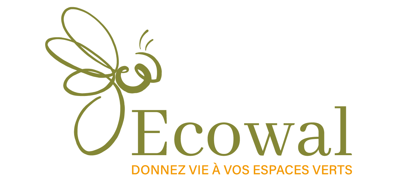 Ecowal   article cimetière