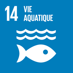 F SDG goals icons individual rgb 14