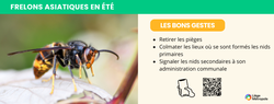 FA banner ete claire