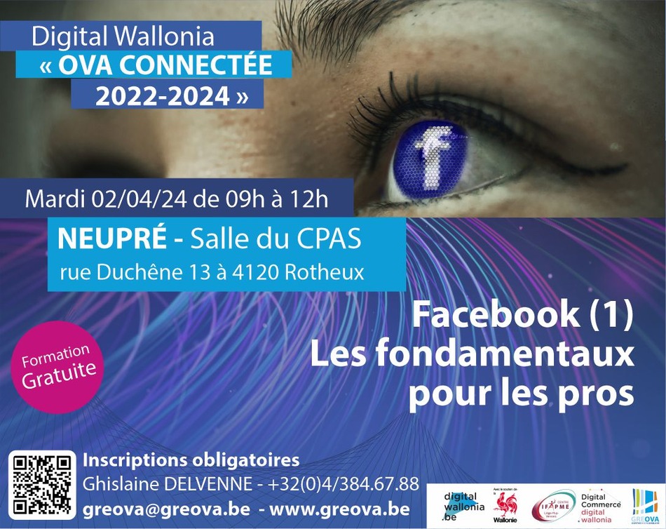 Facebook 1   Les fondamentaux de Facebook pour les pros