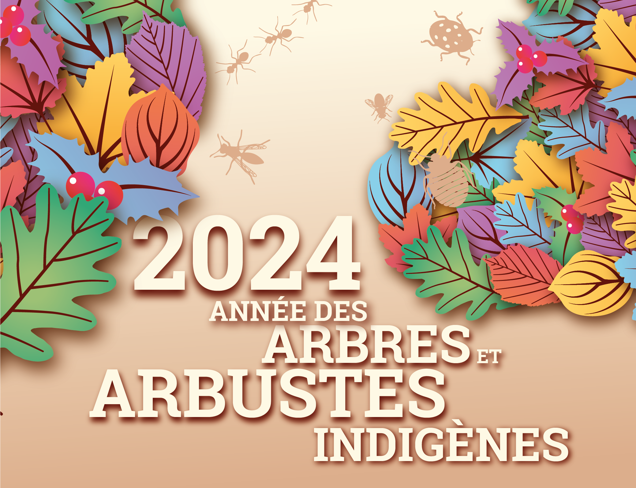 facebook 2024 actu FR