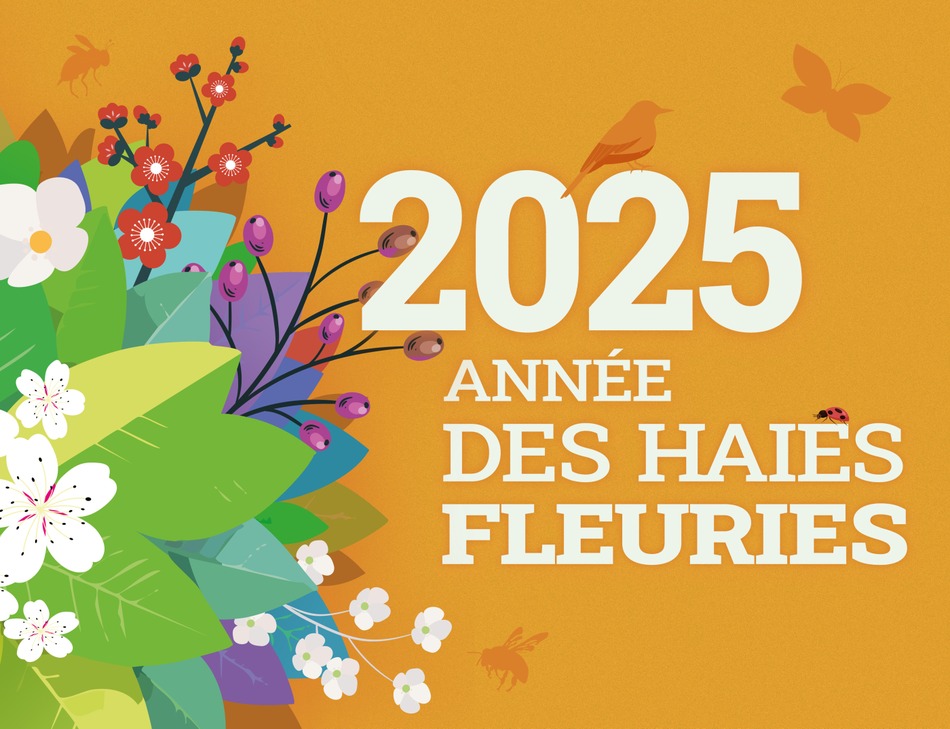 Facebook 2025 FR