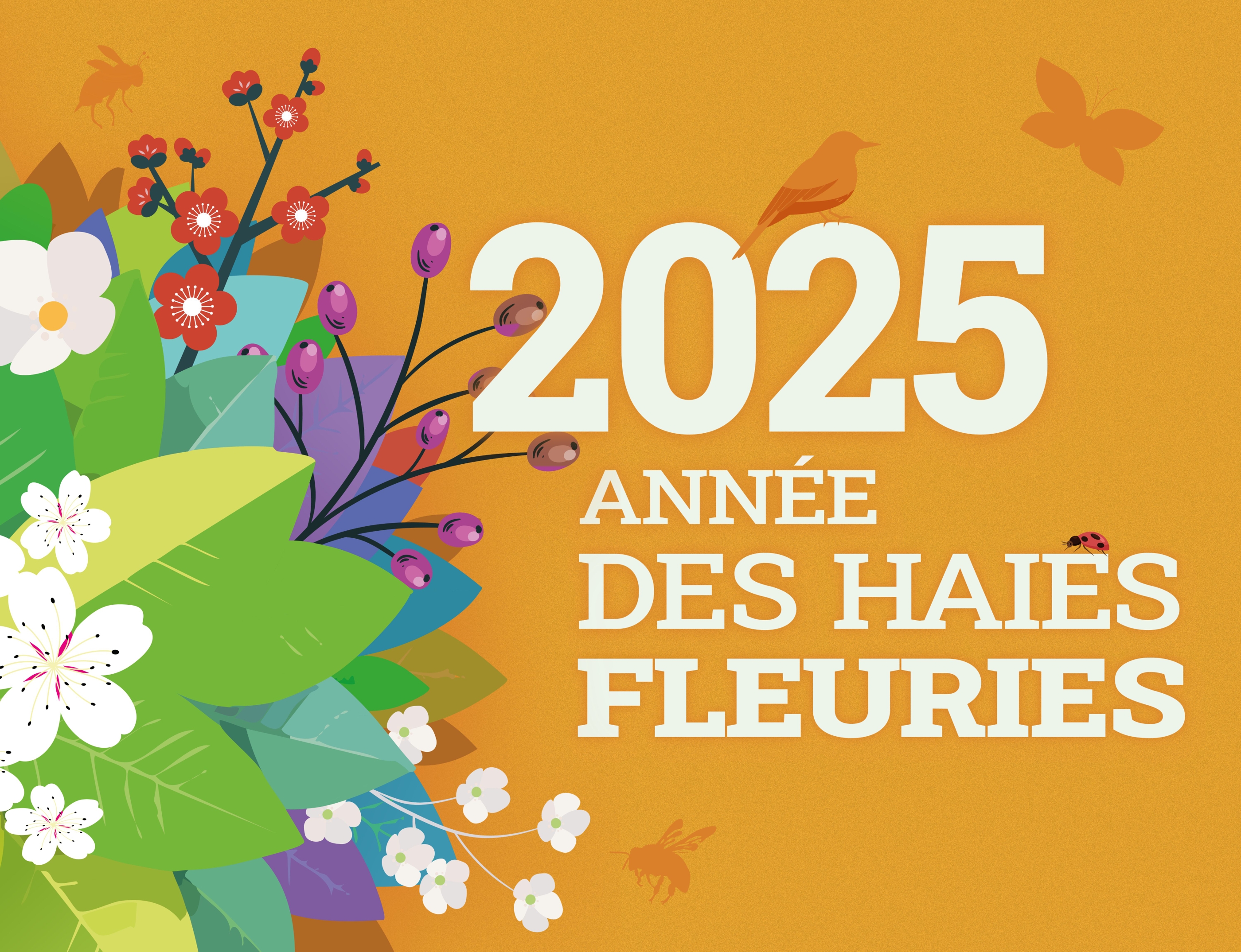 Facebook 2025 FR