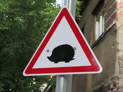 hérisson