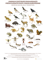 Jour 6 ANIMAUX TERR FR