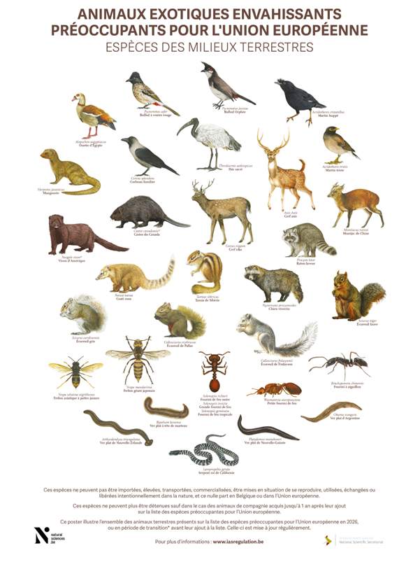 Jour 6 ANIMAUX TERR FR