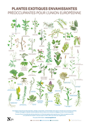 Jour 6 PLANTES FR