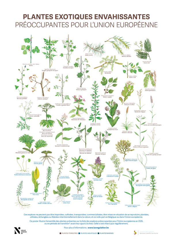 Jour 6 PLANTES FR