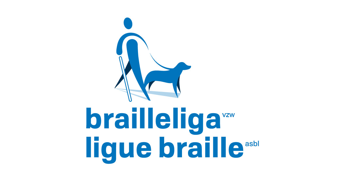 ligue braille logo