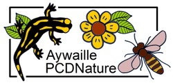 logo PCDN