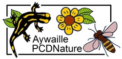 PCDN logo