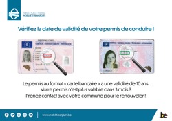 Permis de conduire 10 ans (002)