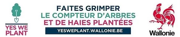 Plantation de Haies