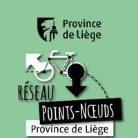 Réseau points noeuds logo