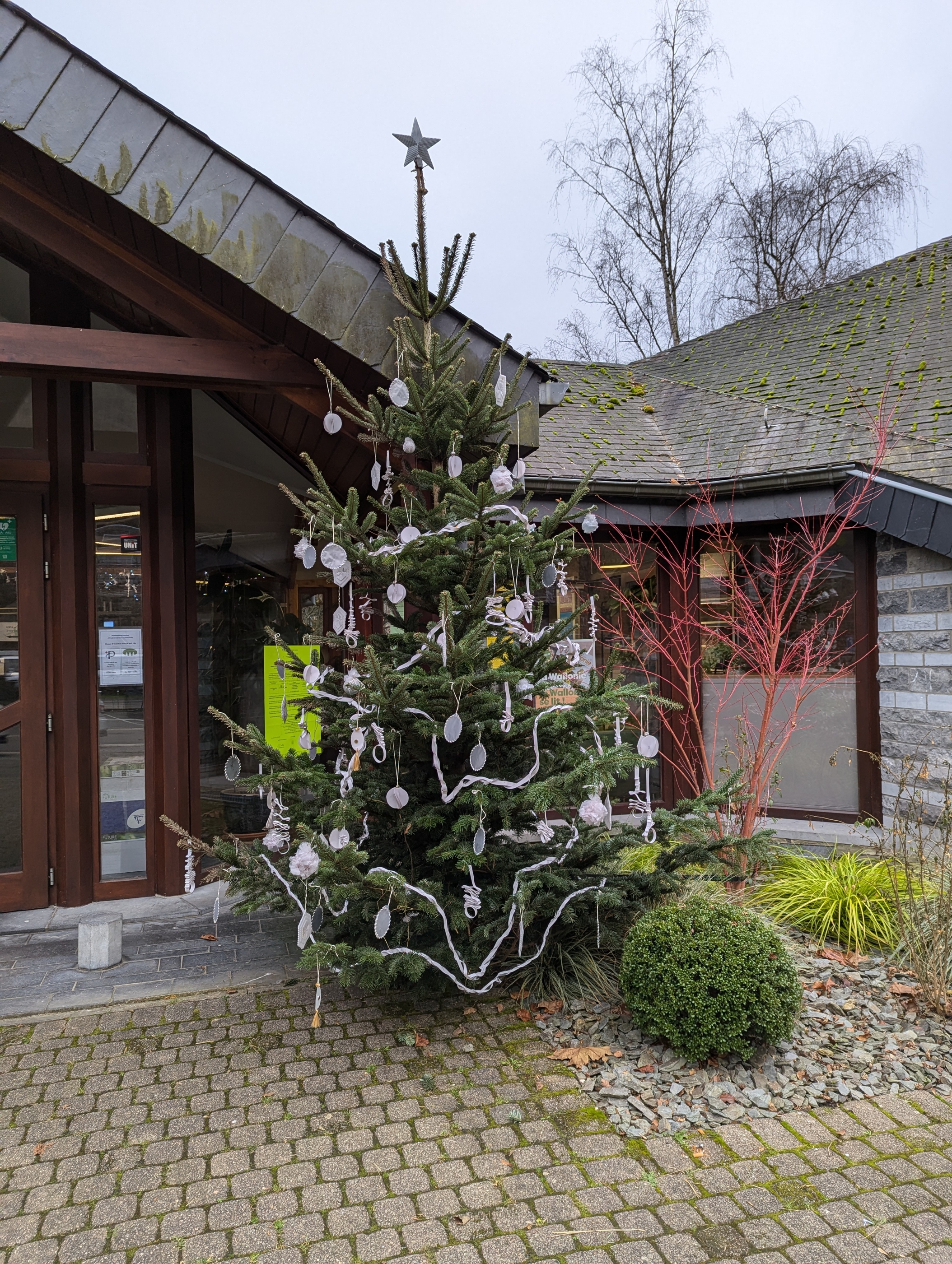 sapin extérieur