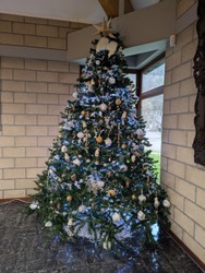 sapin salle Conseil