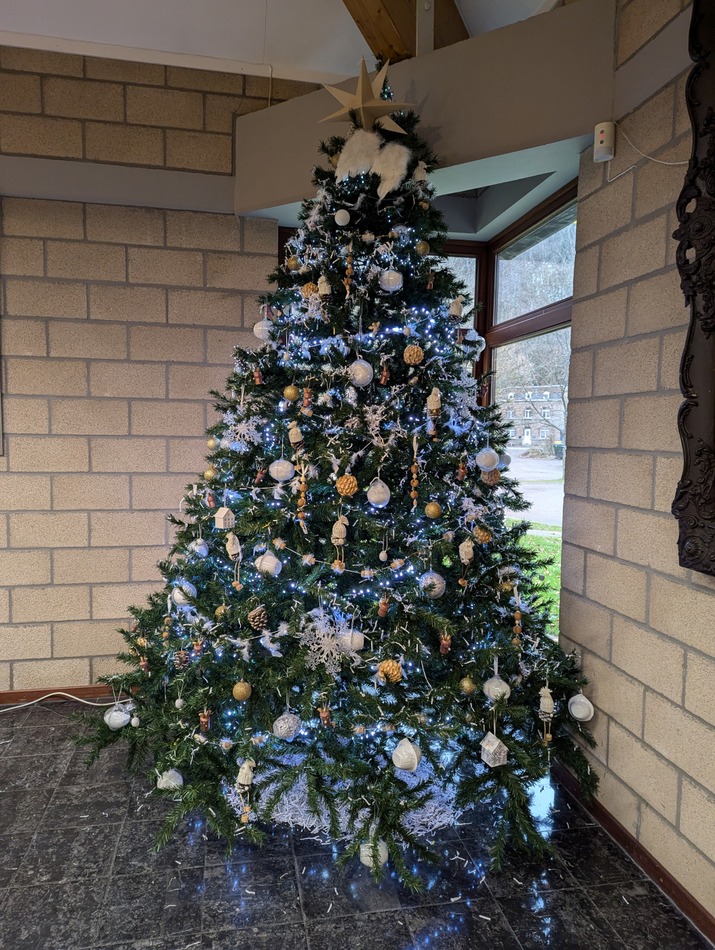 sapin salle Conseil