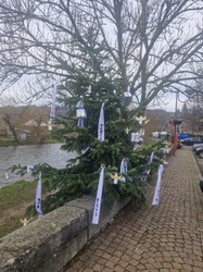 sapins colorés 2023 Reffe