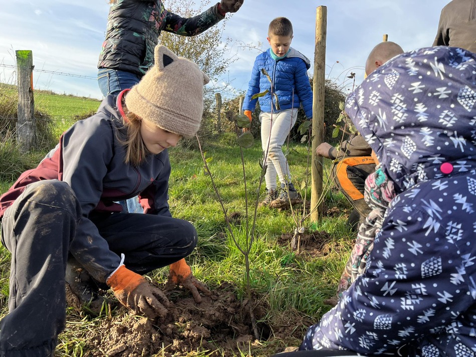 Semaine de l'arbre 2023 Plantation de la Haie (3)