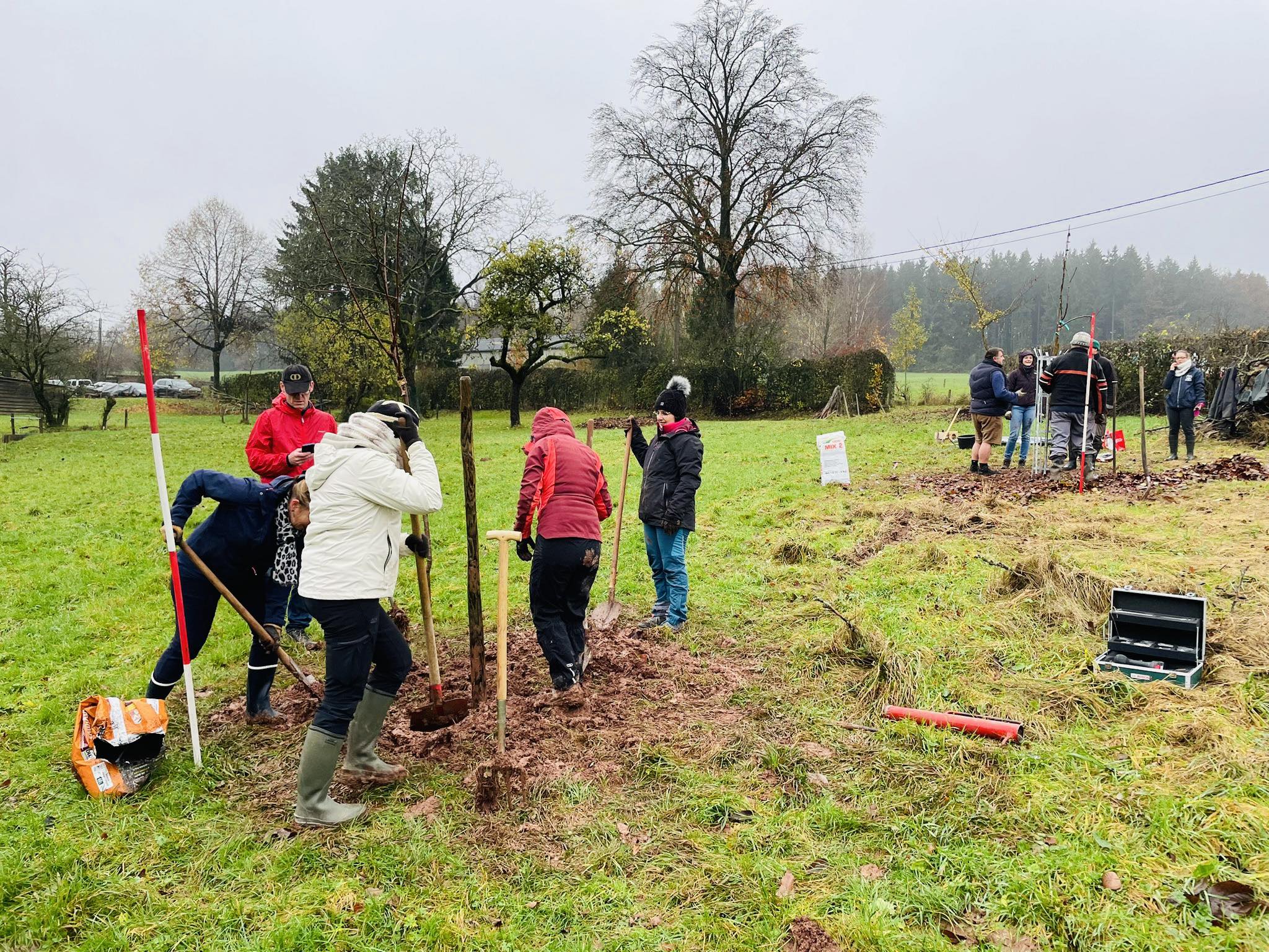 Semaine de l'arbre 2023 Plantation du verger (2)