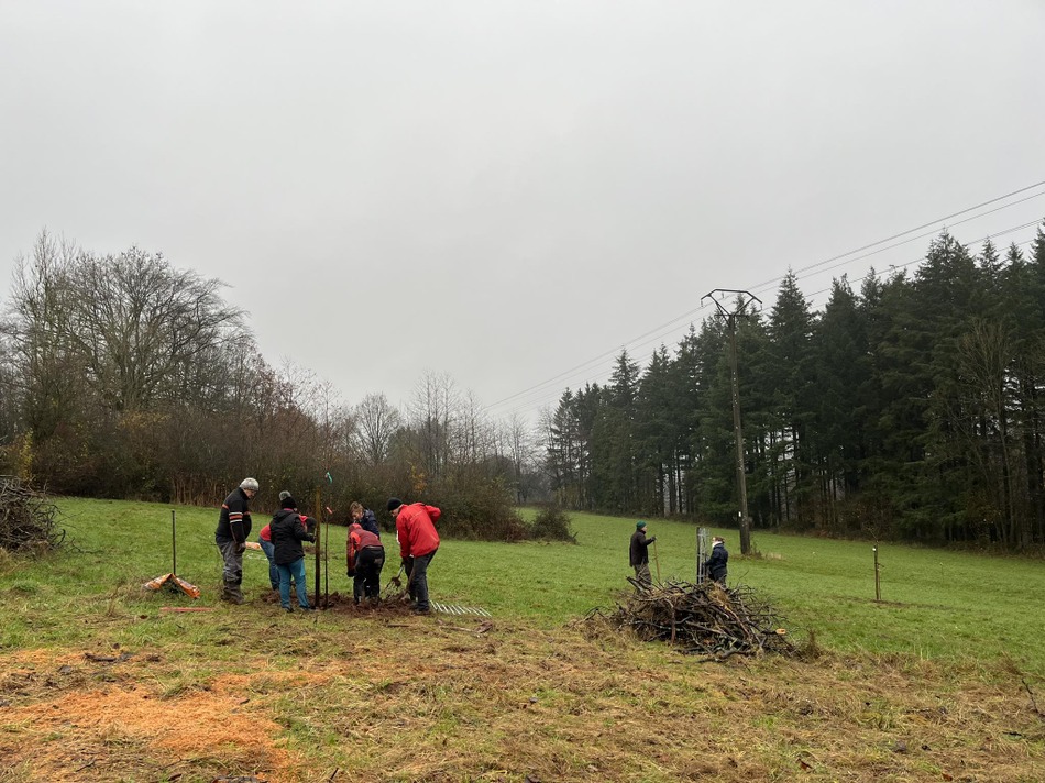 Semaine de l'arbre 2023 Plantation du verger (3)