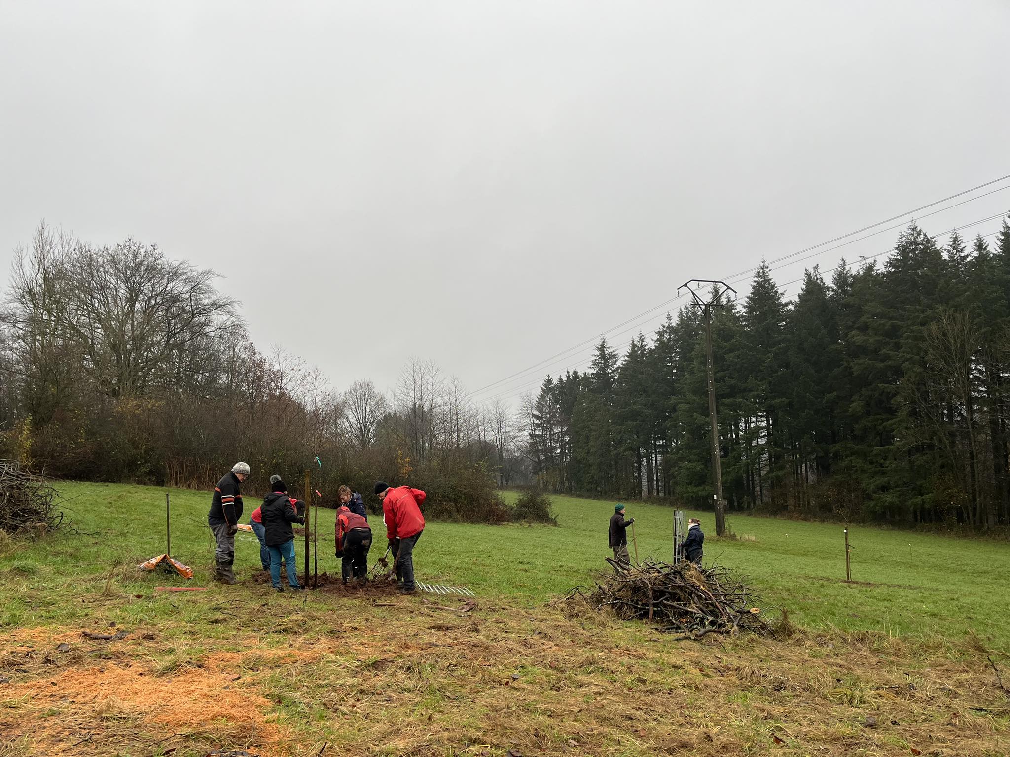 Semaine de l'arbre 2023 Plantation du verger (3)