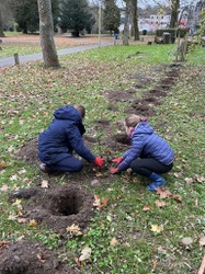 Semaine de l'arbre 2024 rétrospective Actu (3)