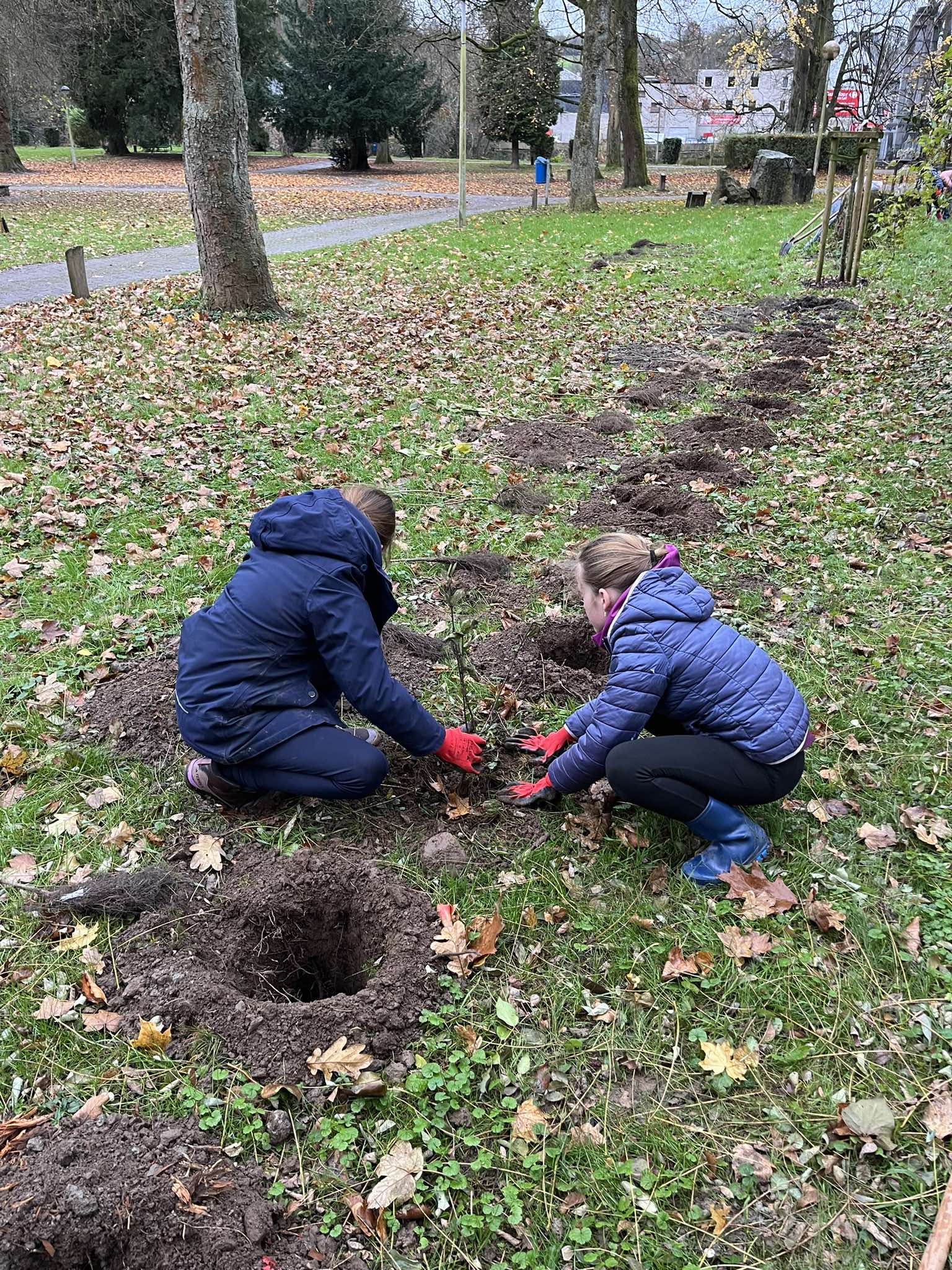Semaine de l'arbre 2024 rétrospective Actu (3)