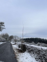 Semaine de l'arbre 2024 rétrospective Actu (4)
